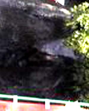 e0103408_2325253.jpg