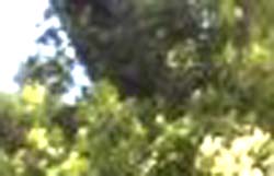 e0103408_2335158.jpg
