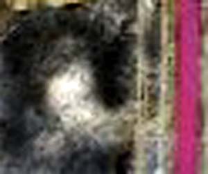e0103408_234685.jpg