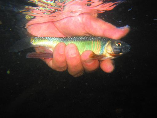 e0123808_0571950.jpg