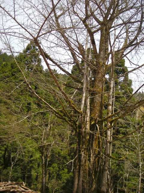 b0183911_2233189.jpg