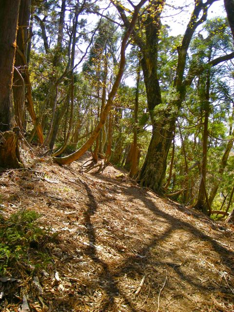 b0183911_23125459.jpg