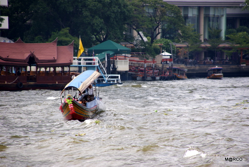 c0037611_22442561.jpg