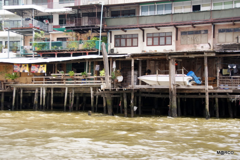c0037611_22443491.jpg