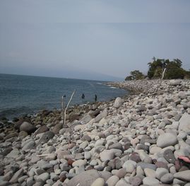 c0162212_19491587.jpg