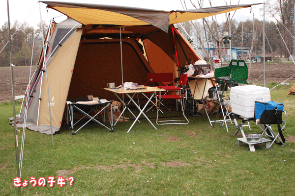 f0203423_17263024.gif
