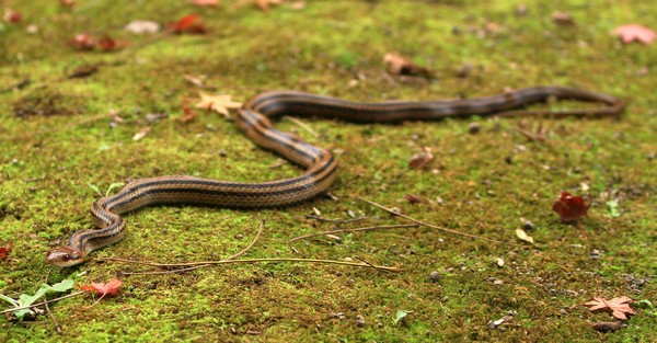 c0104227_16262554.jpg