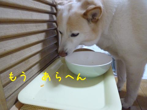 b0138430_2030176.jpg