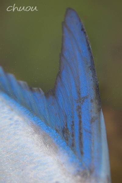 f0146531_22541547.jpg