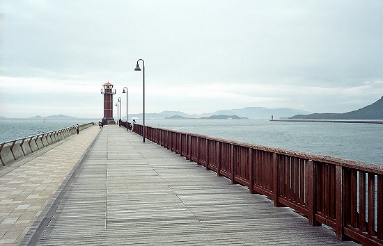 d0001533_19273064.jpg