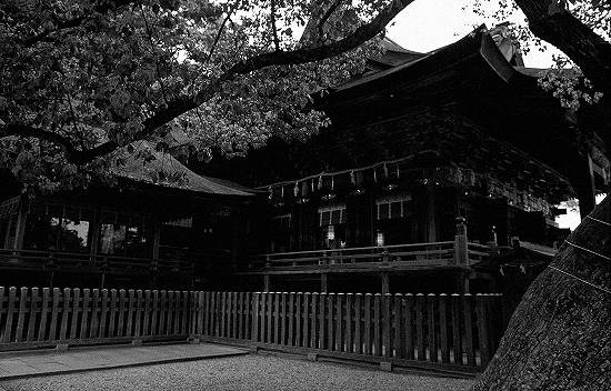 d0001533_19515945.jpg