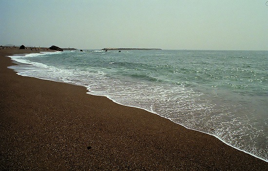d0001533_2124036.jpg