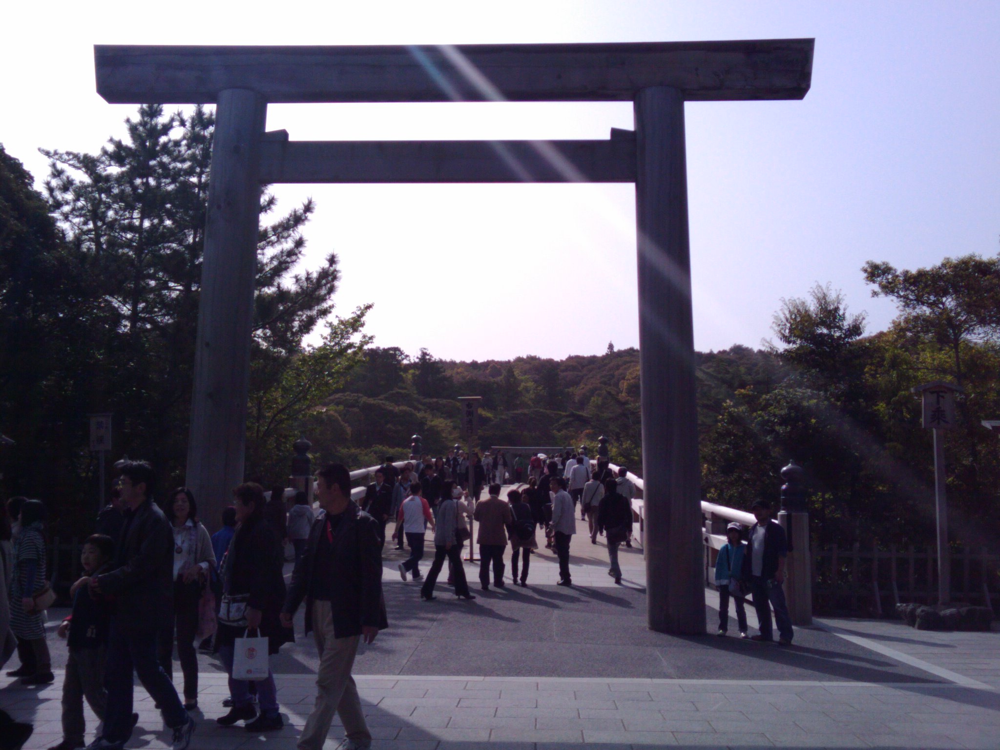 d0107133_861944.jpg