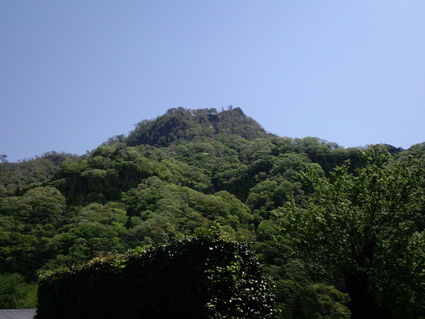 c0108034_1014644.jpg