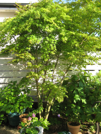 f0061334_21124862.jpg