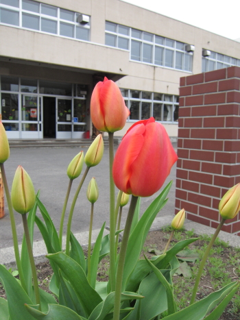 b0006537_2272299.jpg