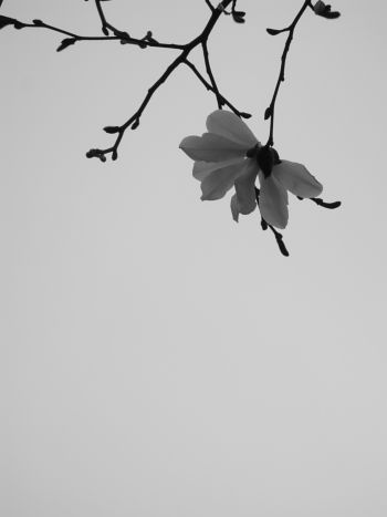 b0006537_2291299.jpg