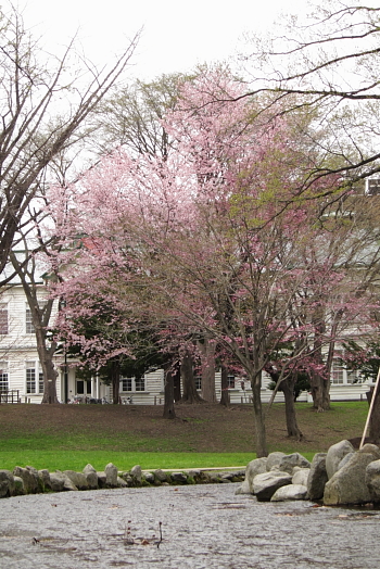 b0006537_229528.jpg