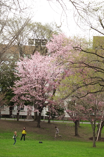 b0006537_229990.jpg
