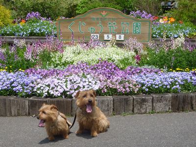 c0211540_21293923.jpg