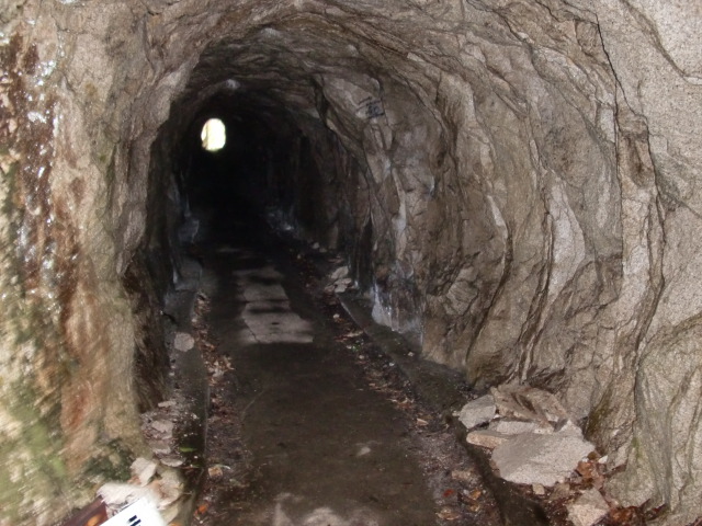 e0110940_20155524.jpg
