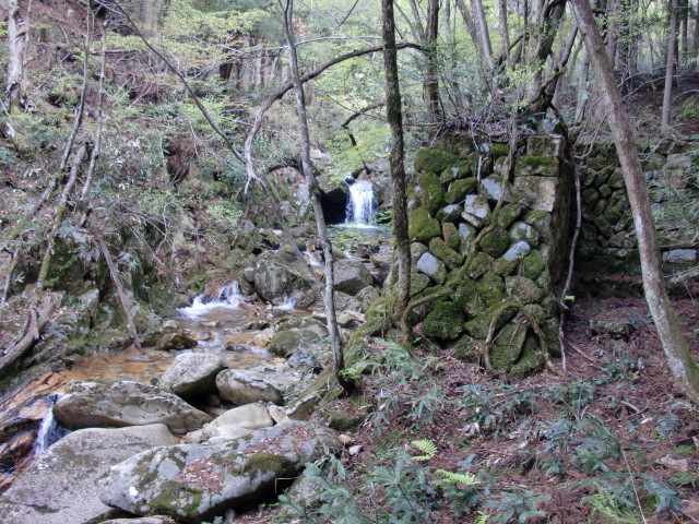e0110940_20204569.jpg