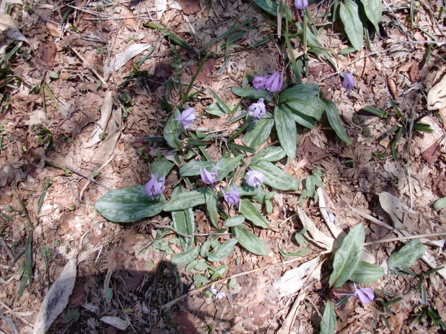 e0110940_2021483.jpg
