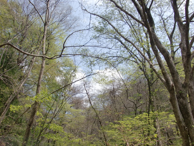 e0110940_2021697.jpg