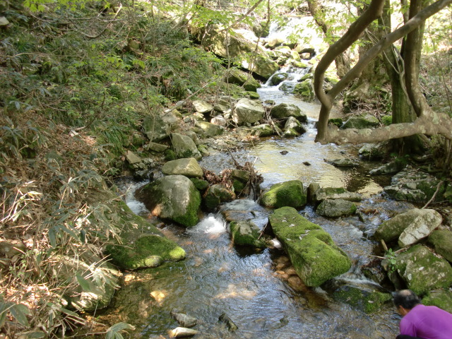 e0110940_20262016.jpg
