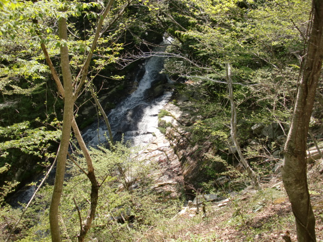 e0110940_20271535.jpg