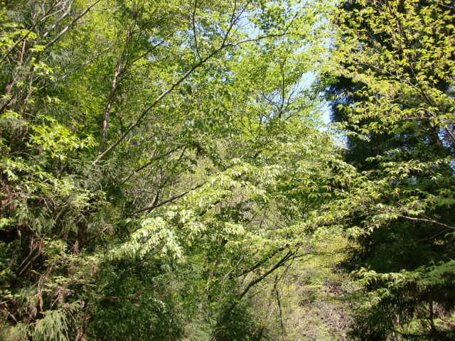 e0110940_20281976.jpg