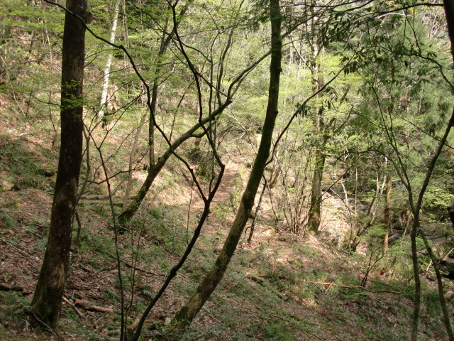 e0110940_20474140.jpg