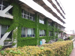b0199742_21224545.jpg