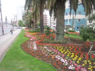 b0199742_2125278.jpg