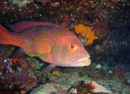 f0014842_20474199.jpg