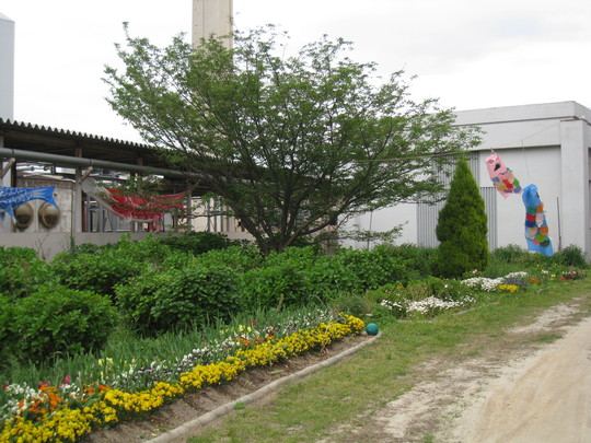 a0198243_11311553.jpg