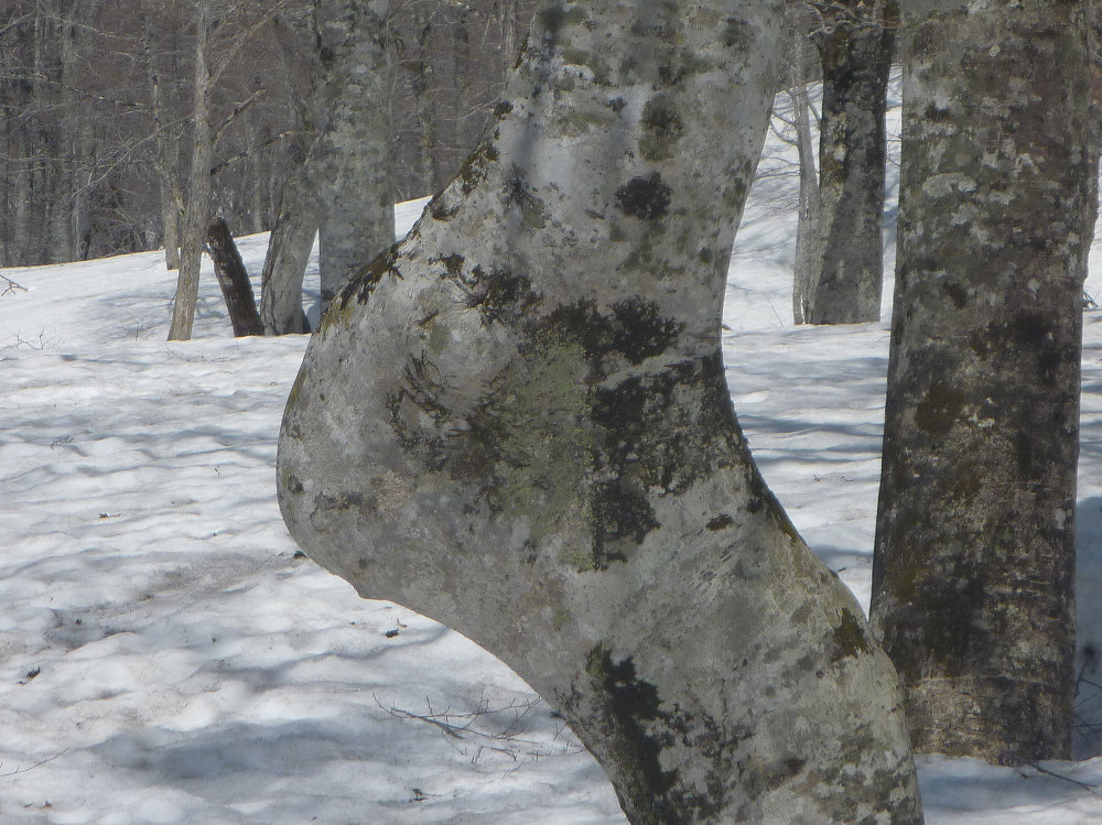 c0081645_2212249.jpg