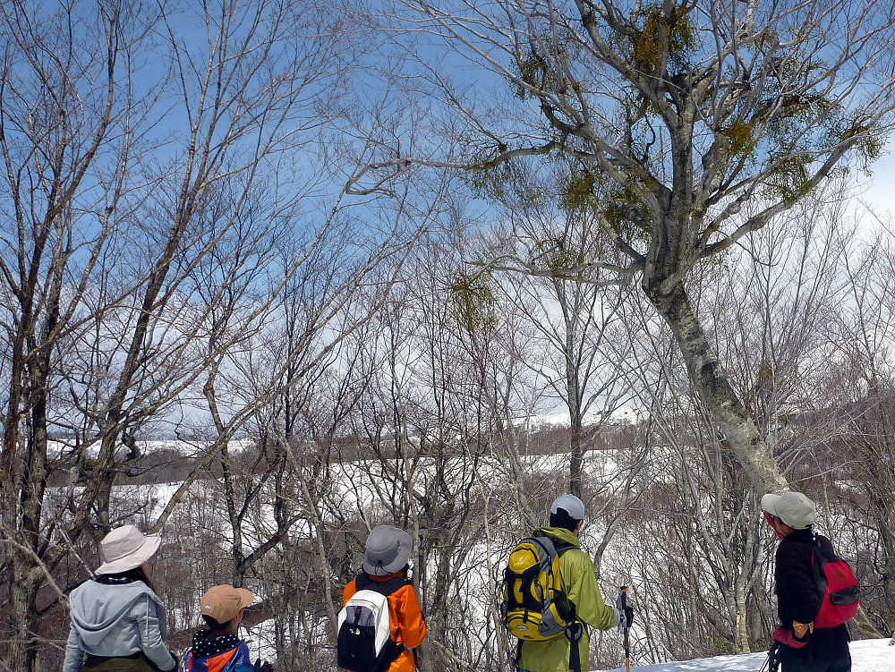 c0081645_224813.jpg