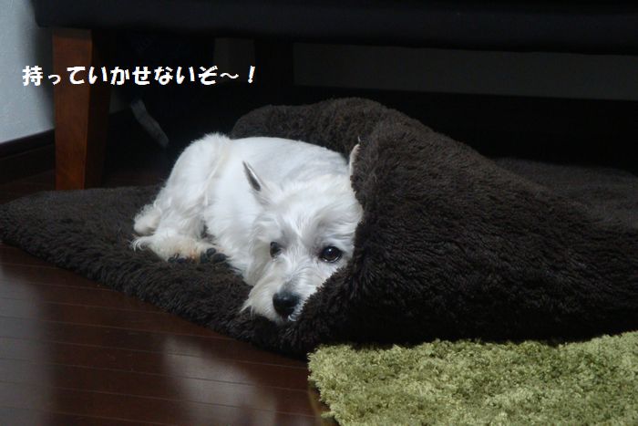 b0214647_12491690.jpg