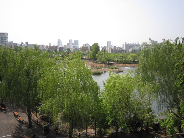 d0063149_22413215.jpg