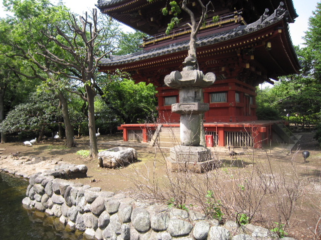 d0063149_22443846.jpg