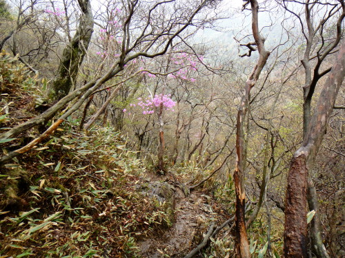 c0179351_1658487.jpg