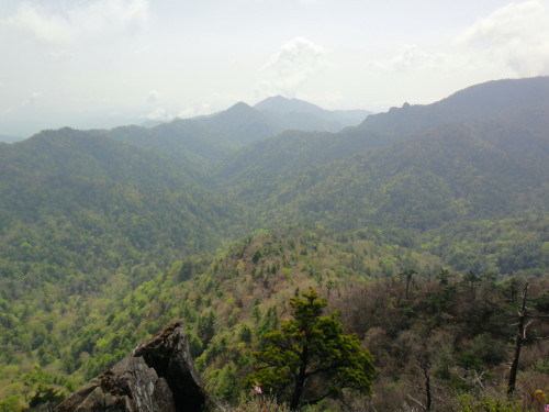 c0179351_17123186.jpg
