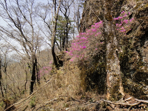 c0179351_17232547.jpg