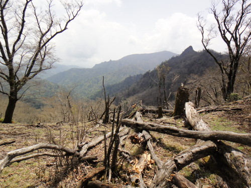 c0179351_1743186.jpg