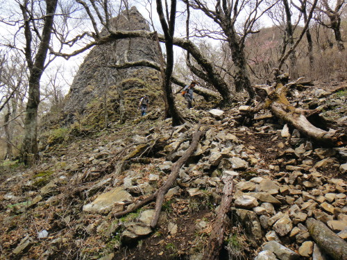 c0179351_17505125.jpg