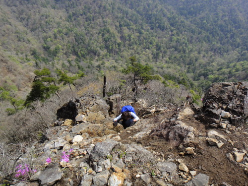 c0179351_1785246.jpg