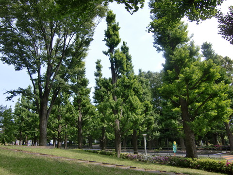c0206352_211533.jpg