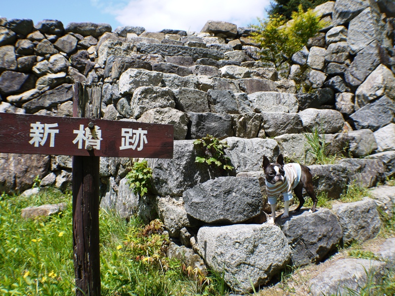 d0155952_10295240.jpg