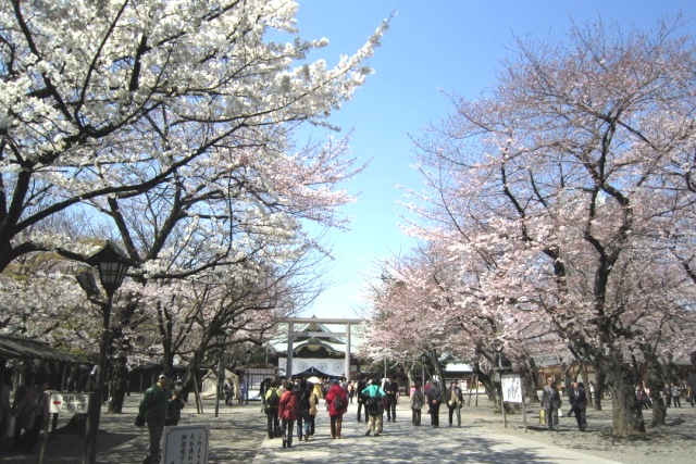 b0173754_443277.jpg